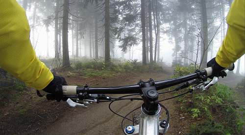 woods person riding on mountain bike in forest during foggy day sport