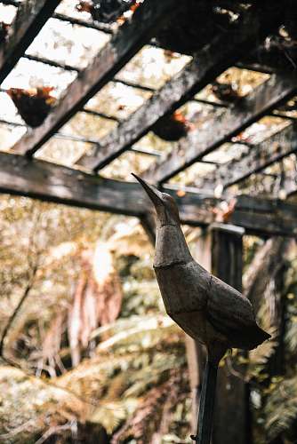 animal brown carving of a bird beak