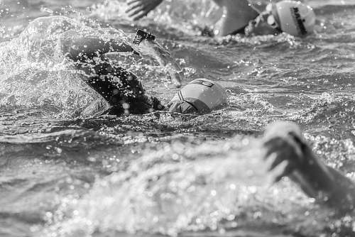 swimming grayscale pjoto of swimmers switzerland
