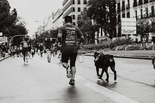 person person running with dog at the road human