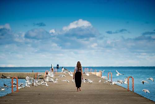 bird woman standing on a boardwalk surrounded by birds seagull