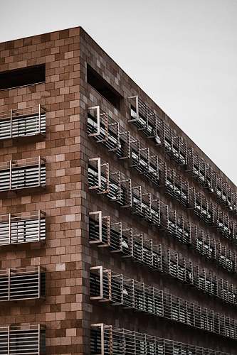 city brown concrete building office building