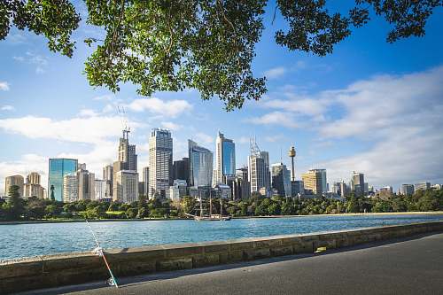 city panoramic photo of high rise buildings near body of water during daytime town