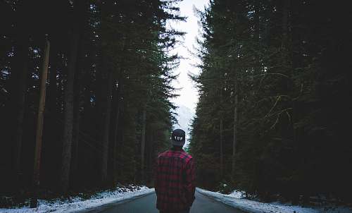 man person in plaid sport shirt standing on asphalt road between trees male