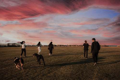fitness four women and one man running together with two dogs on grass field jogging