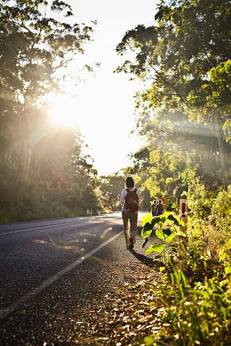 road person carrying backpack walking in road beside trees fitness