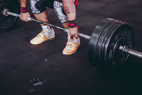 muscles person holding the barbell muscle