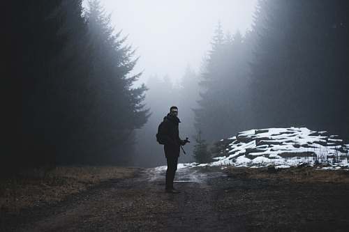 trees man standing on a wet road snow
