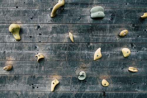 fish four brown wooden wall decors animal