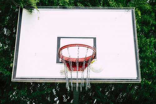 display basketball hoop in front of trees electronics