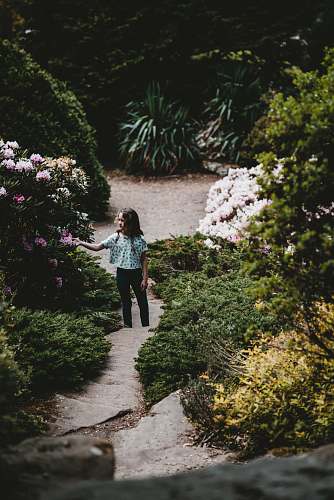 people girl picking flower person