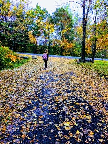 person girl walking on road plant