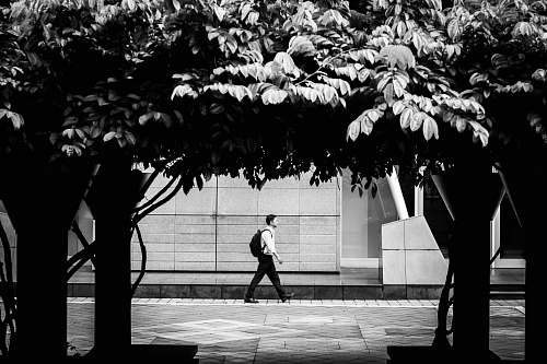 person grayscale photo of man walking on street black-and-white