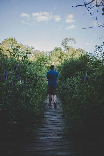 people man in blue crew-neck shirt while walking on brown dock person