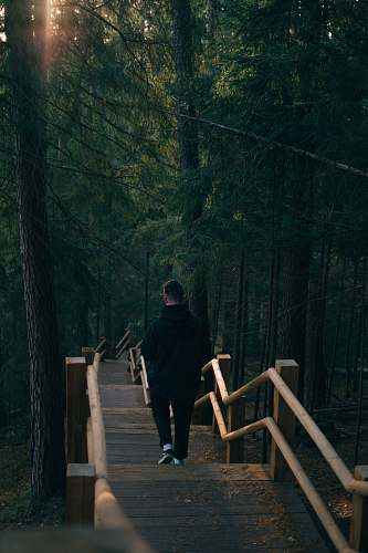 person man walking near trees people