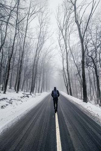 person man walking on road between bare trees nature