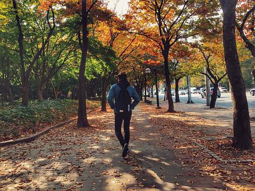 person man walking on sidewalk surrounded by trees exercise