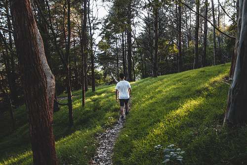 person man wearing white shirt hiking near grass and trees plant