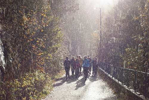 person people in pathway during rain vegetation