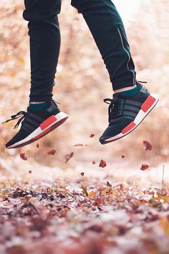 person person jumping from leaves people