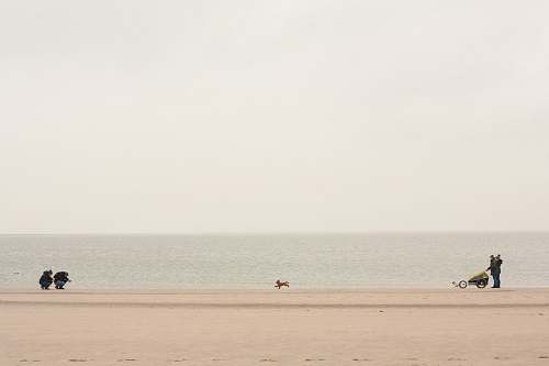 grey person standing on sea shore sea