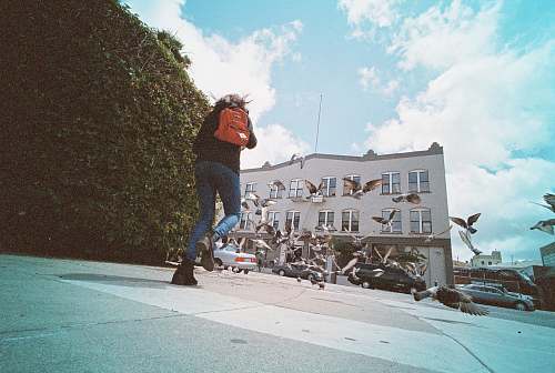person person with orange backpack walking beside green plant topiary during daytime people