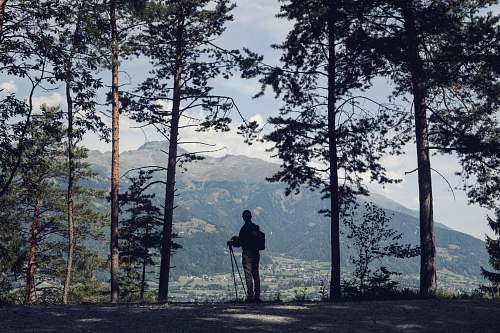 people silhouette of man standing on focus photography person
