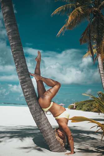 person woman leaning upsidedown beside tree summer