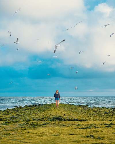 person woman standing on cliff with birds flying under sea bird