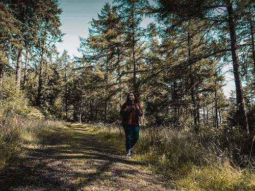 plant woman walking downhill between trees tree