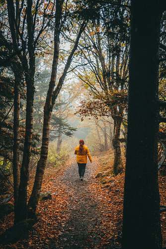 person woman walking in forest plant