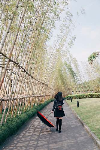 person woman wearing black miniskirt walking on street while holding umbrella people