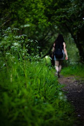 person woman with backpack walking on walkway between grasses path