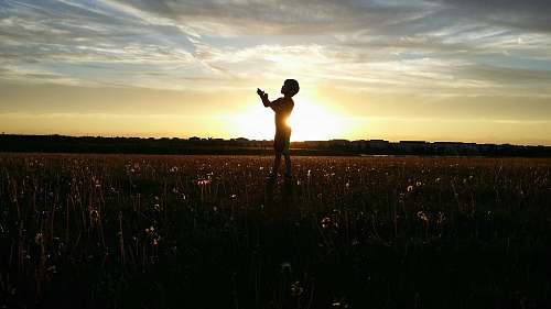 sunset silhouette photo of a person lifting his hand sunrise
