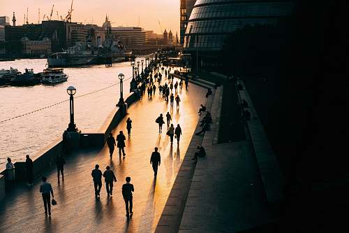 silhouette people walking on road near body of water building