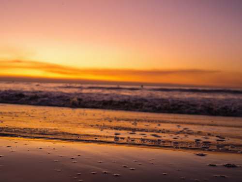 nature selective focus photography of seashore during golden hour ocean