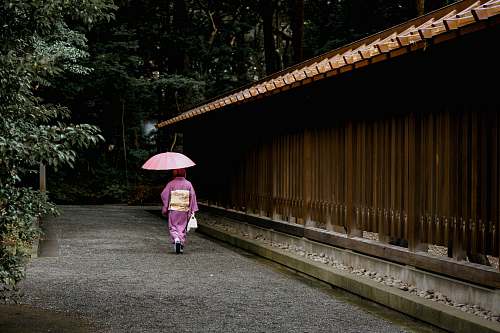 people geisha holding umbrella near fence umbrella