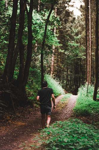 path man walking through forest trail