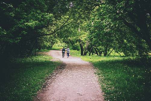 human people on pathway between trees path