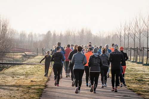 human people running on concrete road beside leafless trees during daytime footwear
