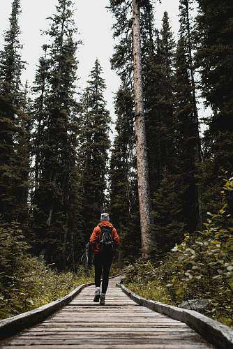 human person walking facing backwards people