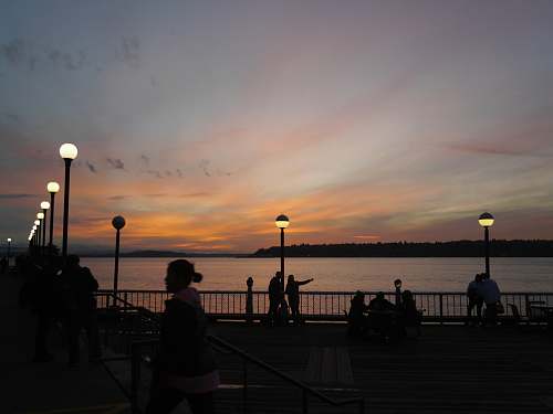human silhouette of people on park front of sea people