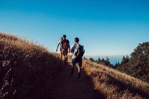 human three person hiking on mountain walking