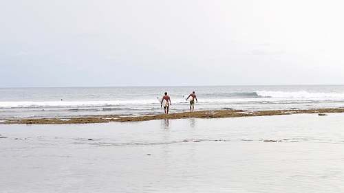 human two men holding white surfboards walking on seashore nature