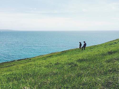 human two person standing on green grass facing ocean plant