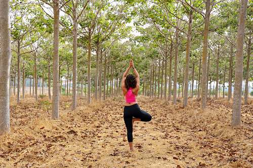 human woman in the middle of trees exercise