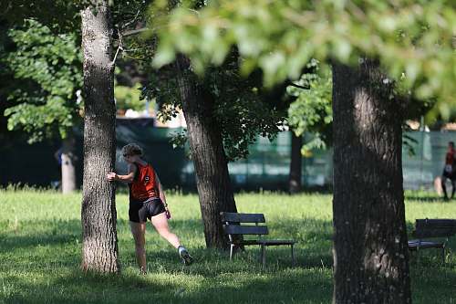 human woman standing beside tree bench