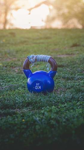 grass 16 kg kettlebell on grass ground