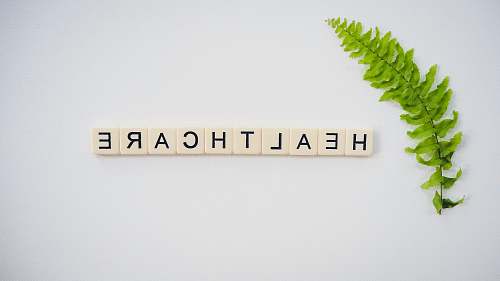 leaf fern leaves and white Healthcare tiles fund