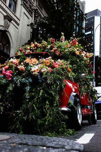 flower red vehicle covered with flowers blossom